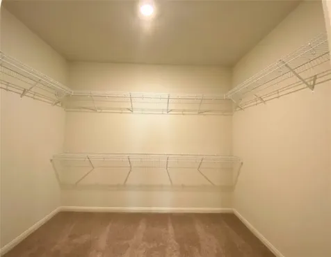 10707 Gossypium Court Richmond TX 77469