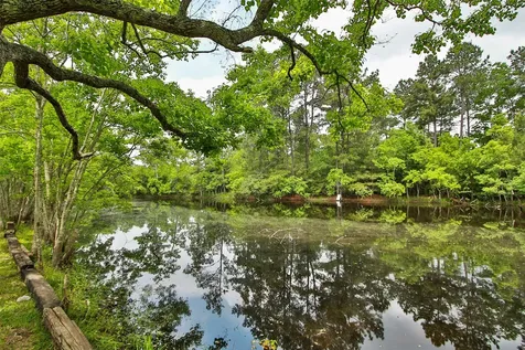 30115 Misty Meadow Drive Magnolia TX 77355