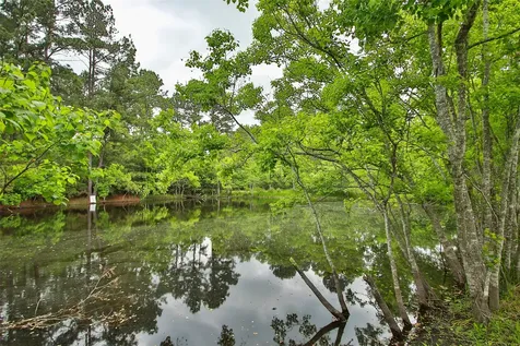 30115 Misty Meadow Drive Magnolia TX 77355