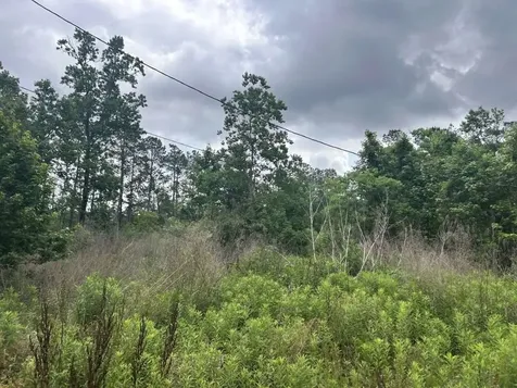 195 Greathouse Street Vidor TX 77662