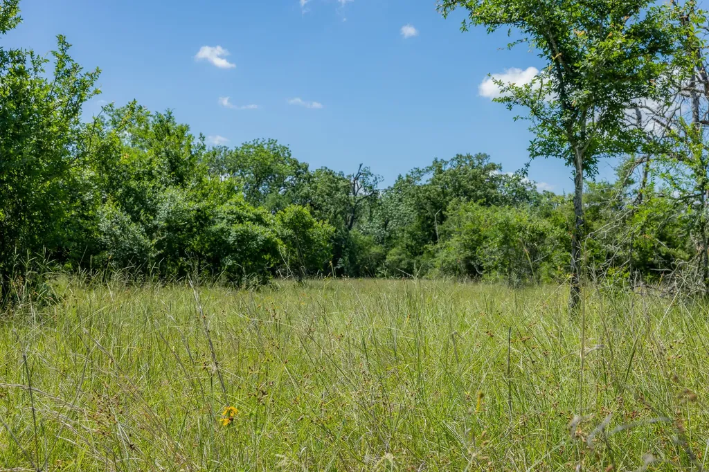 6584 Atakapan Trail Bedias TX 77831