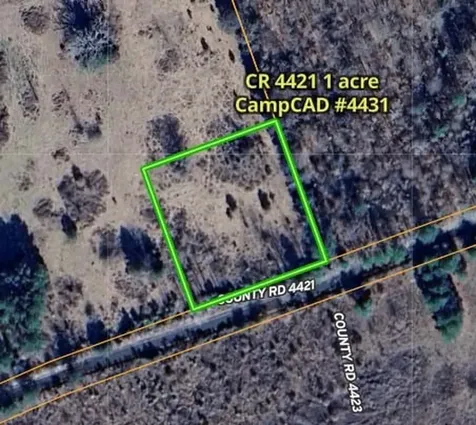 475 County Road 4421 Pittsburg TX 75686