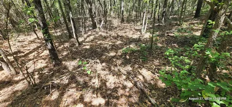 Tbd Cr 3233 And Cr 3230 Clarksville TX 75426