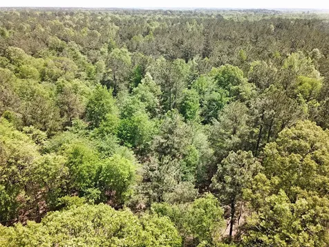 Tbd Cr 3233 And Cr 3230 Clarksville TX 75426