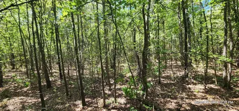 Tbd Cr 3233 And Cr 3230 Clarksville TX 75426