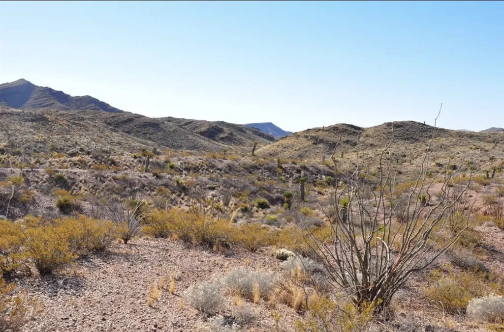 Van Horn TX 79855