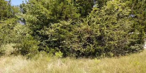 Lots 634 & 635 Shoshone Drive Gordonville TX 76245