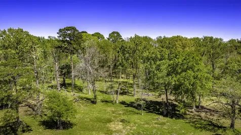 2405 Barretts Landing Road Trinity TX 75862