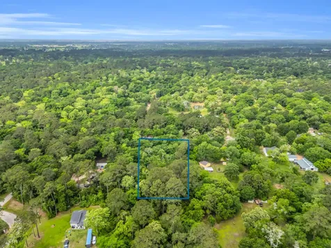 24466 Pine Creek Road Hockley TX 77447