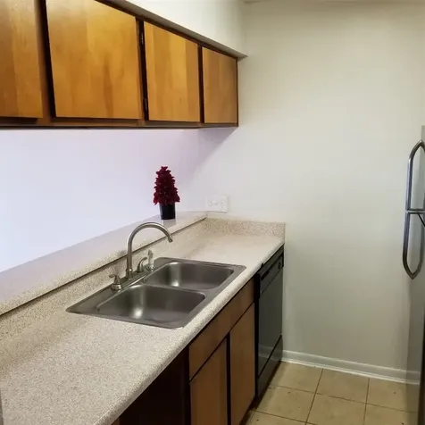 3015 Walnut Bend Lane 33 Houston TX 77042