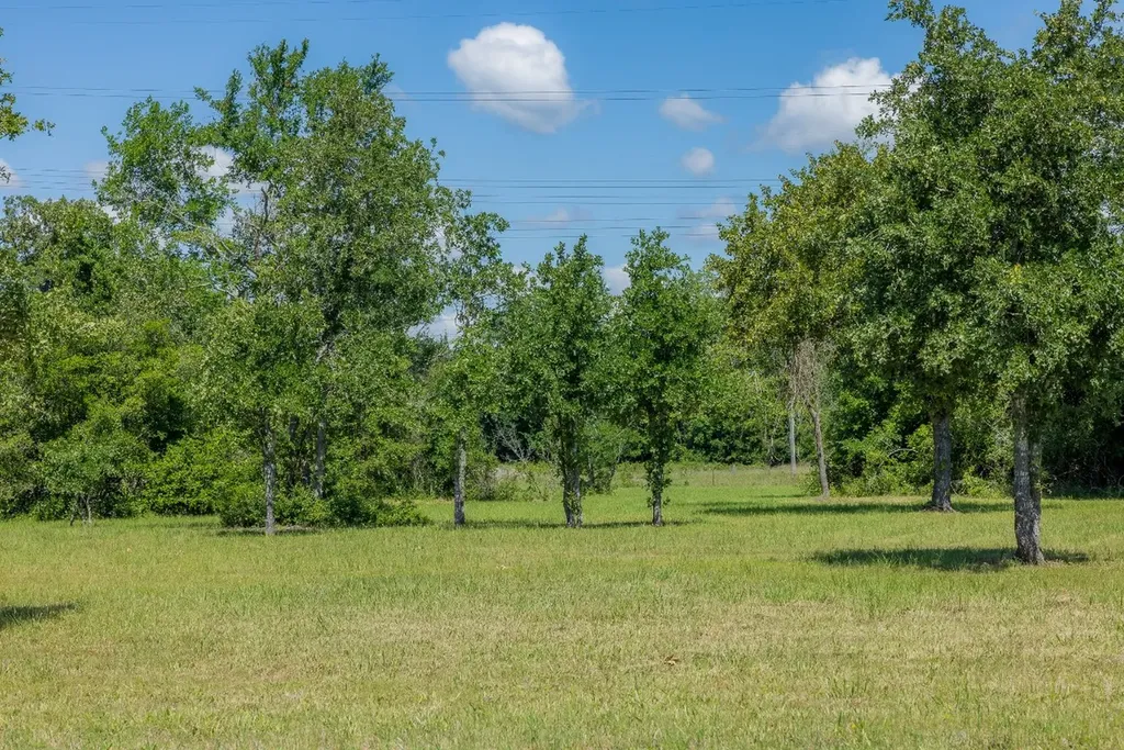 6757 Atakapan Trail Bedias TX 77831