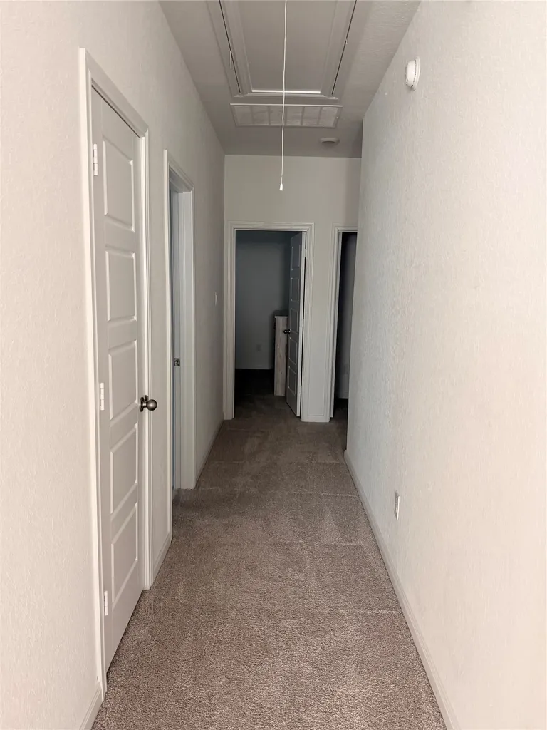 3223 Field Thistle New Braunfels TX 78130