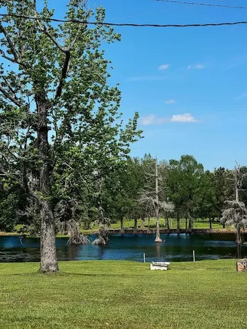 101 Vickie Lane Shepherd TX 77371
