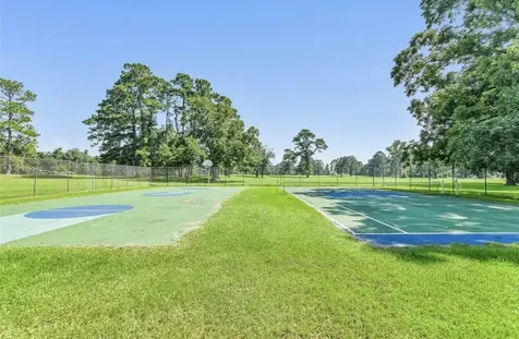 101 Vickie Lane Shepherd TX 77371