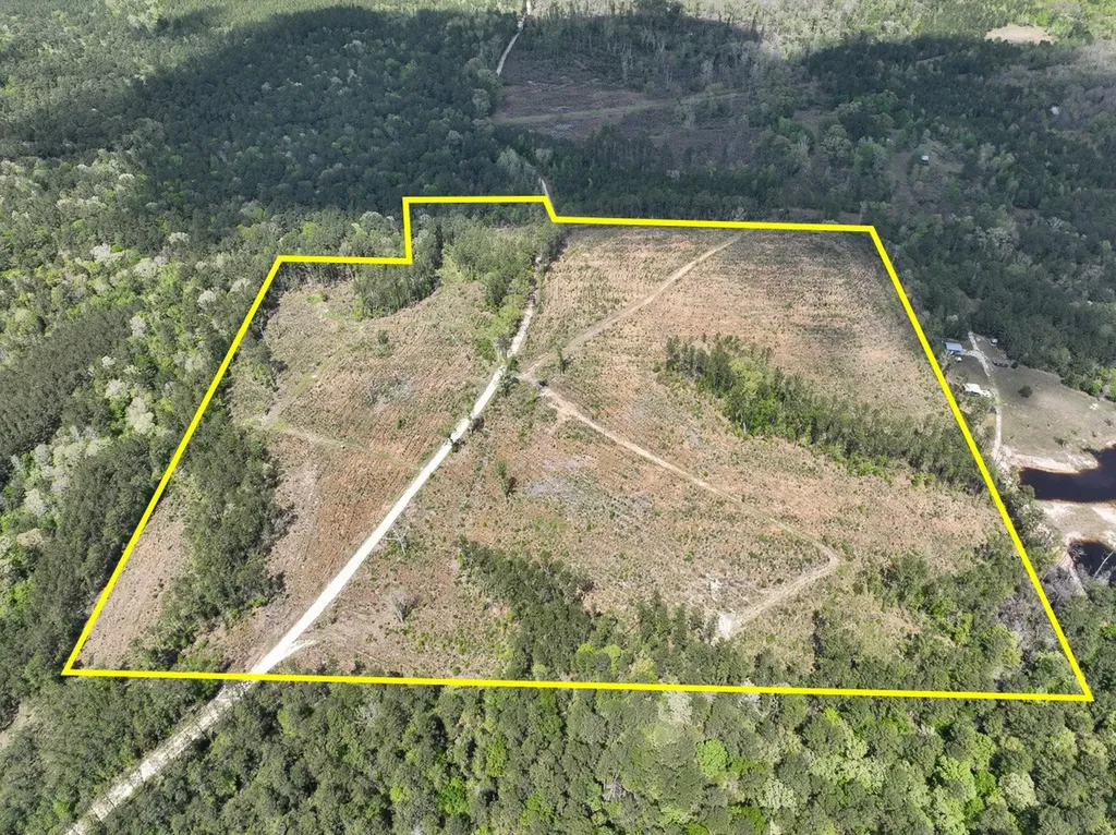 000 County Road 2834 Colmesneil TX 75938