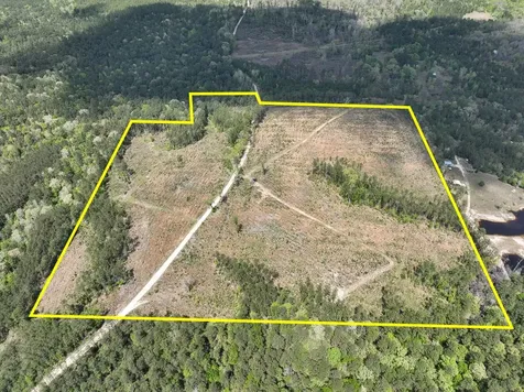 000 County Road 2834 Colmesneil TX 75938