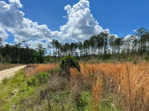 000 County Road 2834 Colmesneil TX 75938