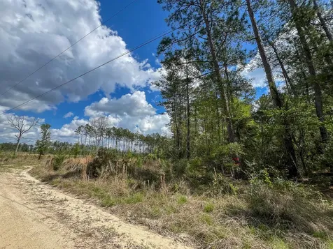 000 County Road 2834 Colmesneil TX 75938