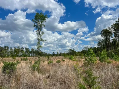000 County Road 2834 Colmesneil TX 75938