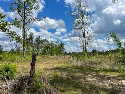 000 County Road 2834 Colmesneil TX 75938
