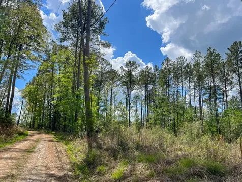 000 County Road 2834 Colmesneil TX 75938