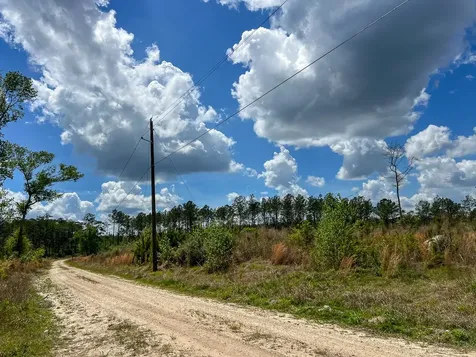 000 County Road 2834 Colmesneil TX 75938