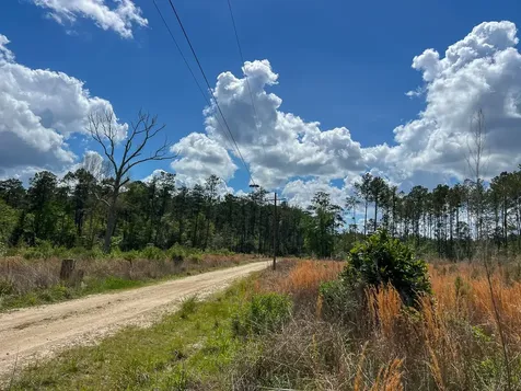 000 County Road 2834 Colmesneil TX 75938