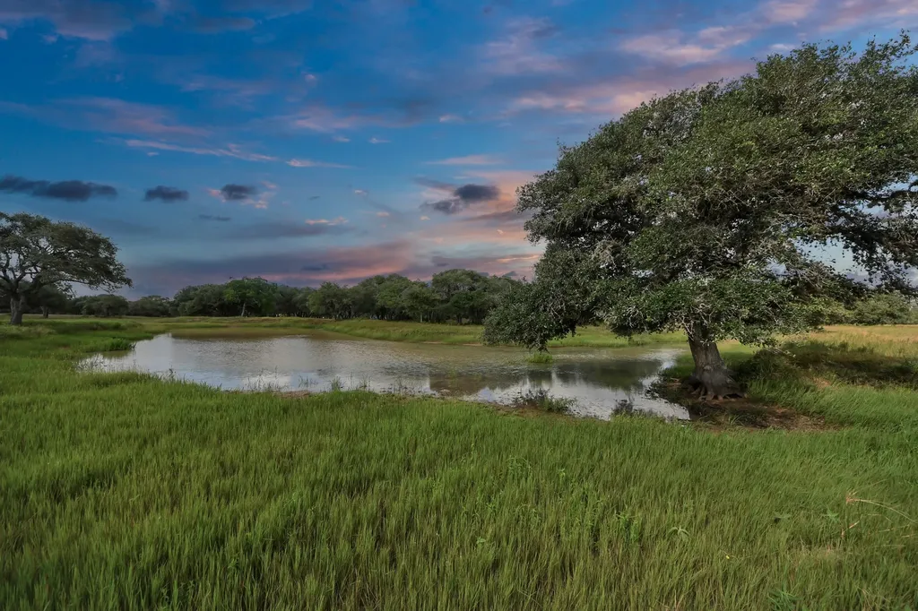 Tbd Lot 62 Gadwall Lane Columbus TX 78934