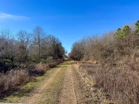 1 Highway 37 Bagwell TX 75412