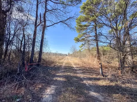 1 Highway 37 Bagwell TX 75412