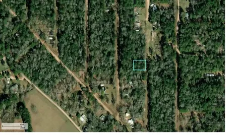 254 Bobby Baer Road Livingston TX 77351