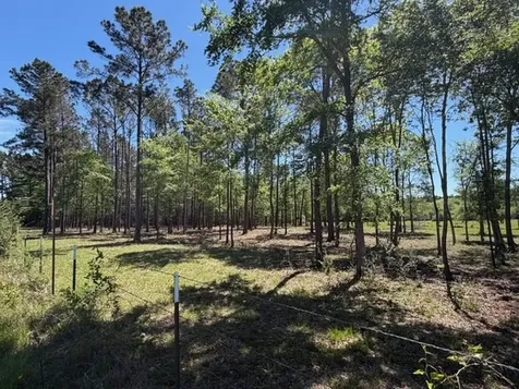 4335 Fm 1374 Road Huntsville TX 77340