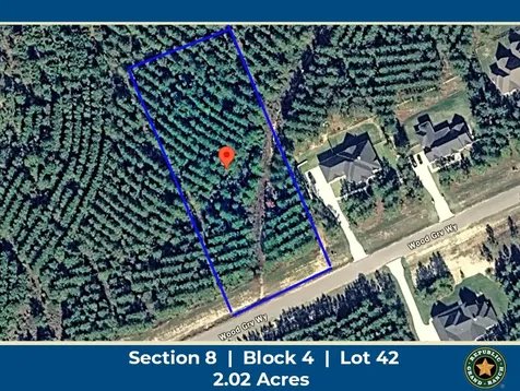 15492 Wood Grove Way Willis TX 77378