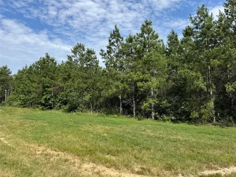 15492 Wood Grove Way Willis TX 77378