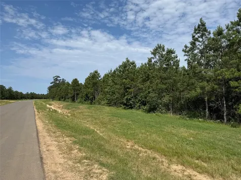 15492 Wood Grove Way Willis TX 77378