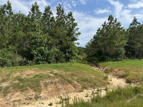 15492 Wood Grove Way Willis TX 77378