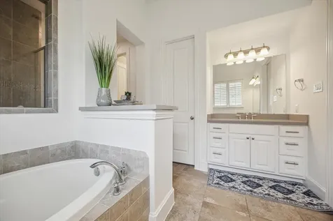 3114 Red Agave Lane Manvel TX 77578