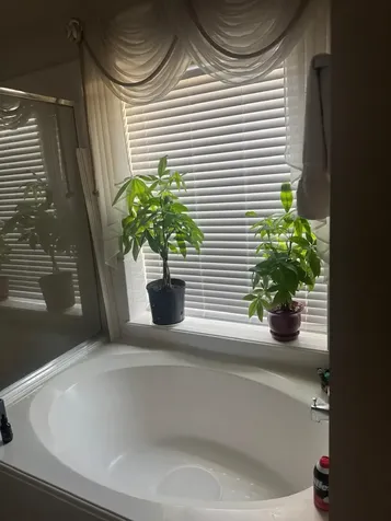 11126 Riverbank Ridge Lane Houston TX 77089