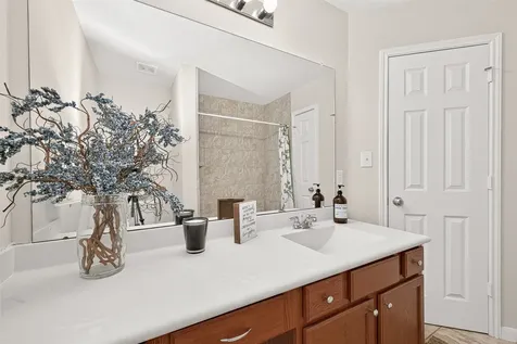 18605 Jaya Loch Court Spring TX 77379