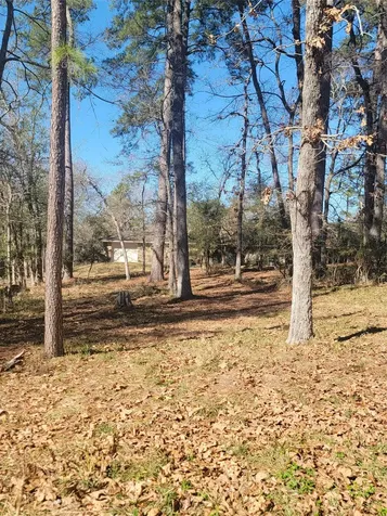 1909 Rollingwood Drive Huntsville TX 77340