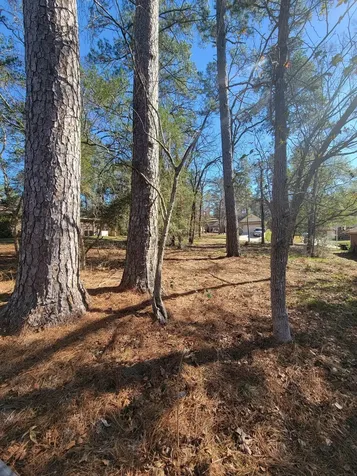 1909 Rollingwood Drive Huntsville TX 77340