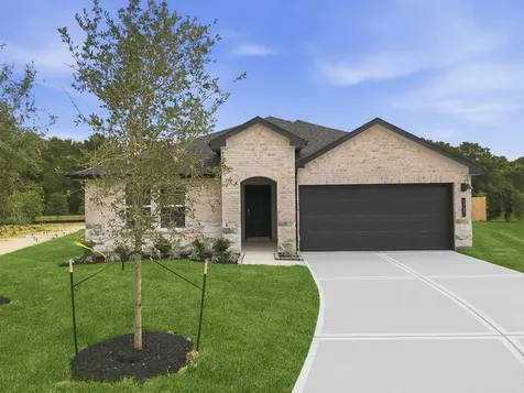1518 Splashing Wave Drive Iowa Colony TX 77583