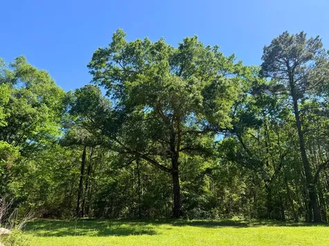 0 Highway 150 Coldspring TX 77331