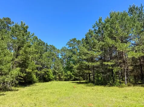 0 Highway 150 Coldspring TX 77331