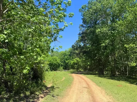 0 Highway 150 Coldspring TX 77331