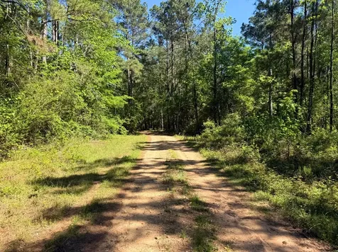 0 Highway 150 Coldspring TX 77331