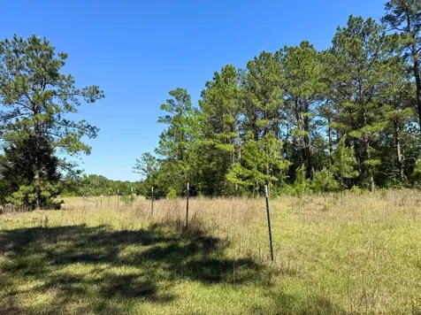 0 Highway 150 Coldspring TX 77331