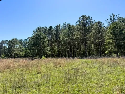 0 Highway 150 Coldspring TX 77331