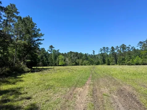 0 Highway 150 Coldspring TX 77331