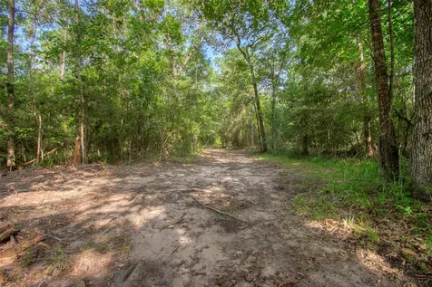 Tbd Dahlia Road Huntsville TX 77320
